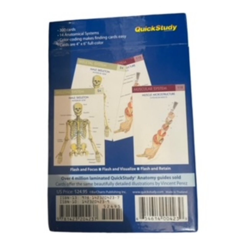 Anatomy (Quickstudy (Flash Cards)) - Cards By BarCharts, Inc. - Picture 4 of 8